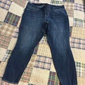 Liverpool Jeans Company Blue Skinny Jeans